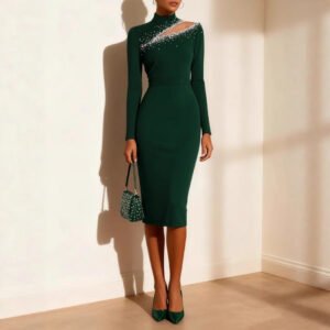 Fashionable High-neck Long-sleeve Figure-hugging Sheath Dress