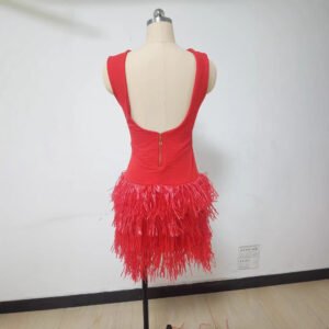 Stylish Sleeveless Crew-Neck Party Tassel Off-Shoulder Dress For Women