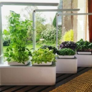 Clean And Beautiful Soilless Culture Hydroponic Self-Absorbent Herb Vegetable Planting Box Trough Cute Flower Pot Set
