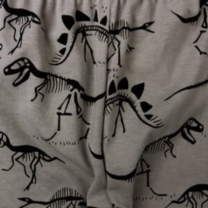 Dinosaur casual pants children's clothing