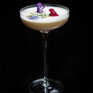 Tee Cocktail Glasses