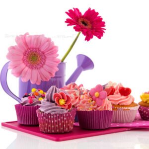 Baking decorating mouth set