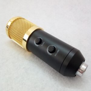 Reverb BM800 microphone