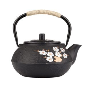 Japanese cast iron teapot