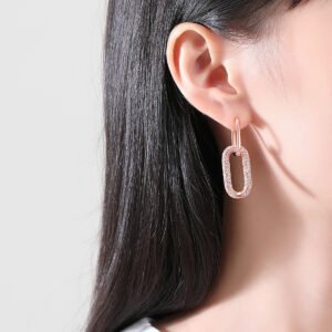 Jinse Light Luxury Ear Clips, Fashionable And Stylish, European And American Style, Unique For Women
