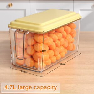 Kitchen Refrigerator Food And Vegetable Preservation Large Capacity Storage Box